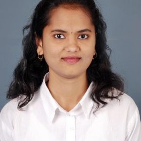 Software Developer