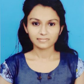 Software Developer