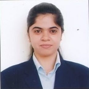 Software Developer