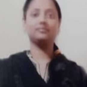 Software Developer