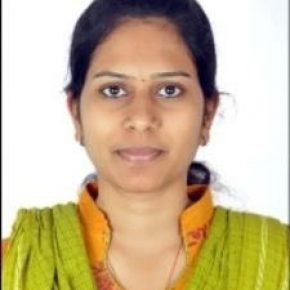 Software Developer